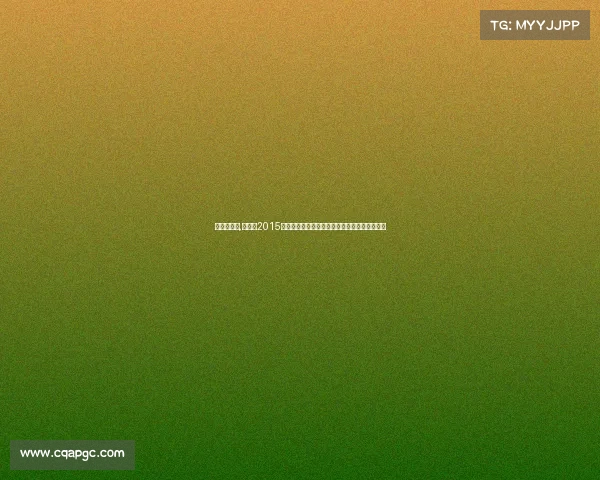 李同国下车,李同国2015年亚冠赛场闪耀时刻全记录辉煌征程与荣耀瞬间